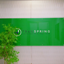 Celebrating 20th Anniversary of Transpring: A Legacy of Innovation and Excellence