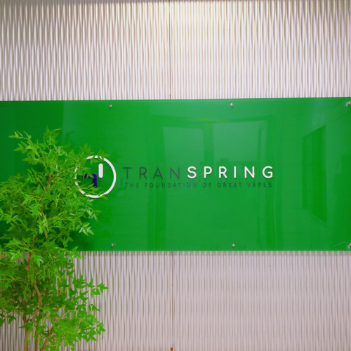 Celebrating 20th Anniversary of Transpring: A Legacy of Innovation and Excellence