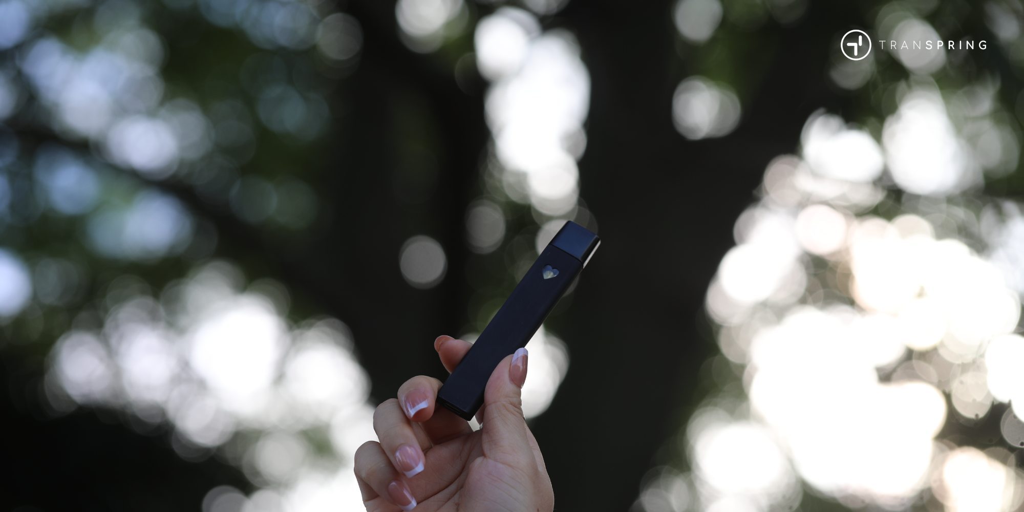Cannabis vape pen types-disposable THC vape guide-china thc vape pen supplier