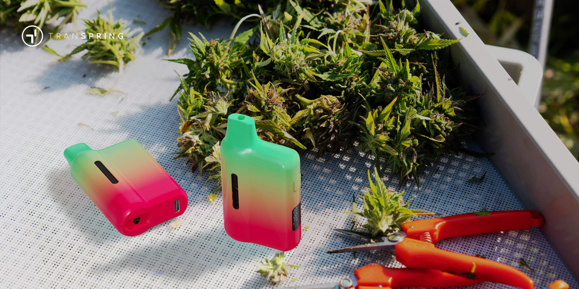 cannabis disposable vape pens NY-510 thc cartridge usa-thc cartridges michigan