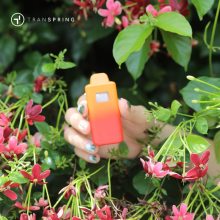 Warning: These Mistakes Will Destroy Your Cannabis Vape