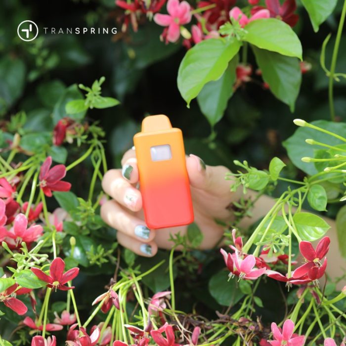 Warning: These Mistakes Will Destroy Your Cannabis Vape