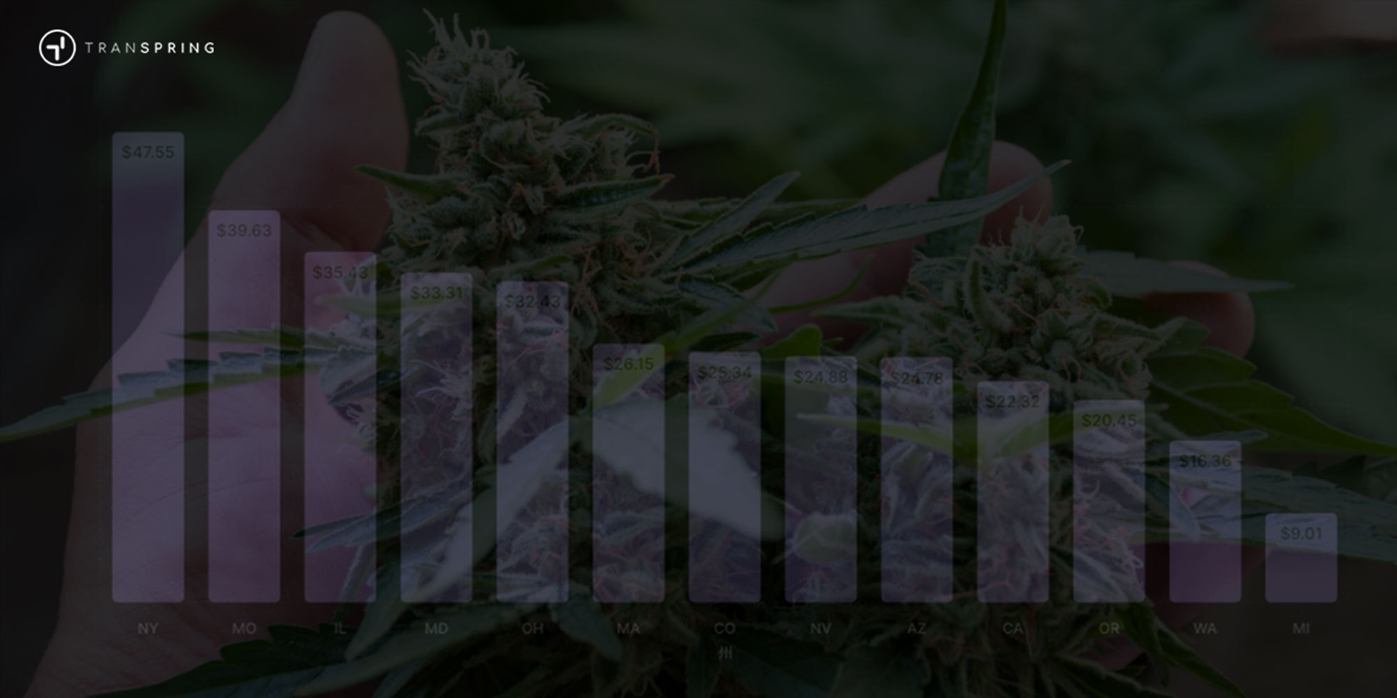 Disposable vapes near me ca-disposable vape brands-Best disposable vapes near me