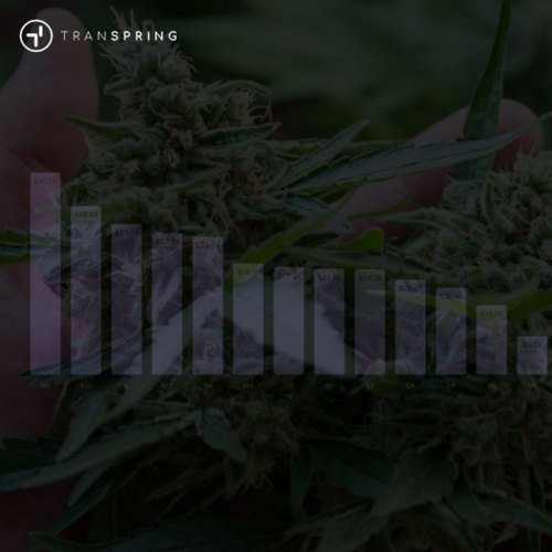 U.S. Cannabis Vape Sales Outlook: Growth Concentrates in MI & CA, New States Rising Fast