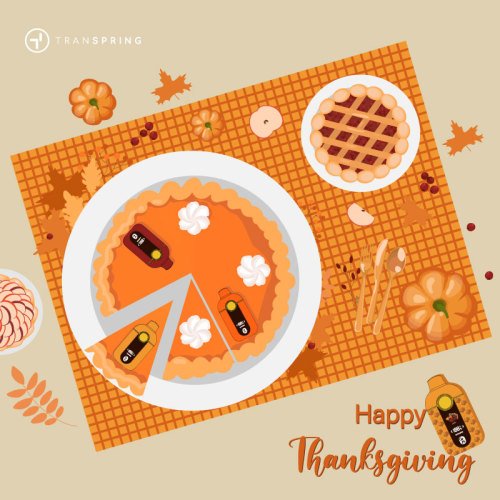 Acción de Gracias 2025: Da las gracias y cámbialo con REBEL Dual Chamber Disposable