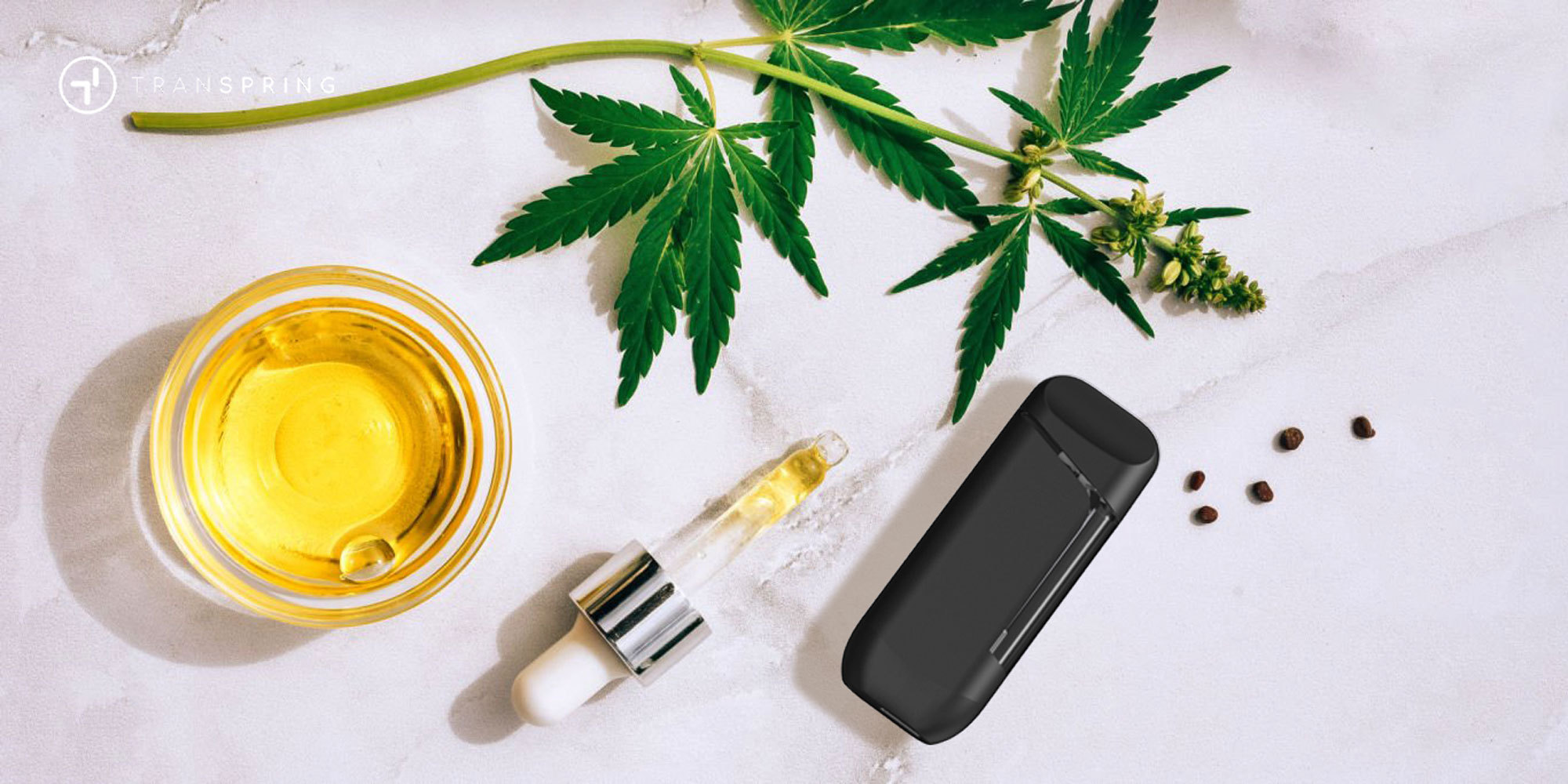 Cannabis-Vape-Best-disposable-vape-filling-Disposable-vape-filling-How-to-fill-a-disposable-vape