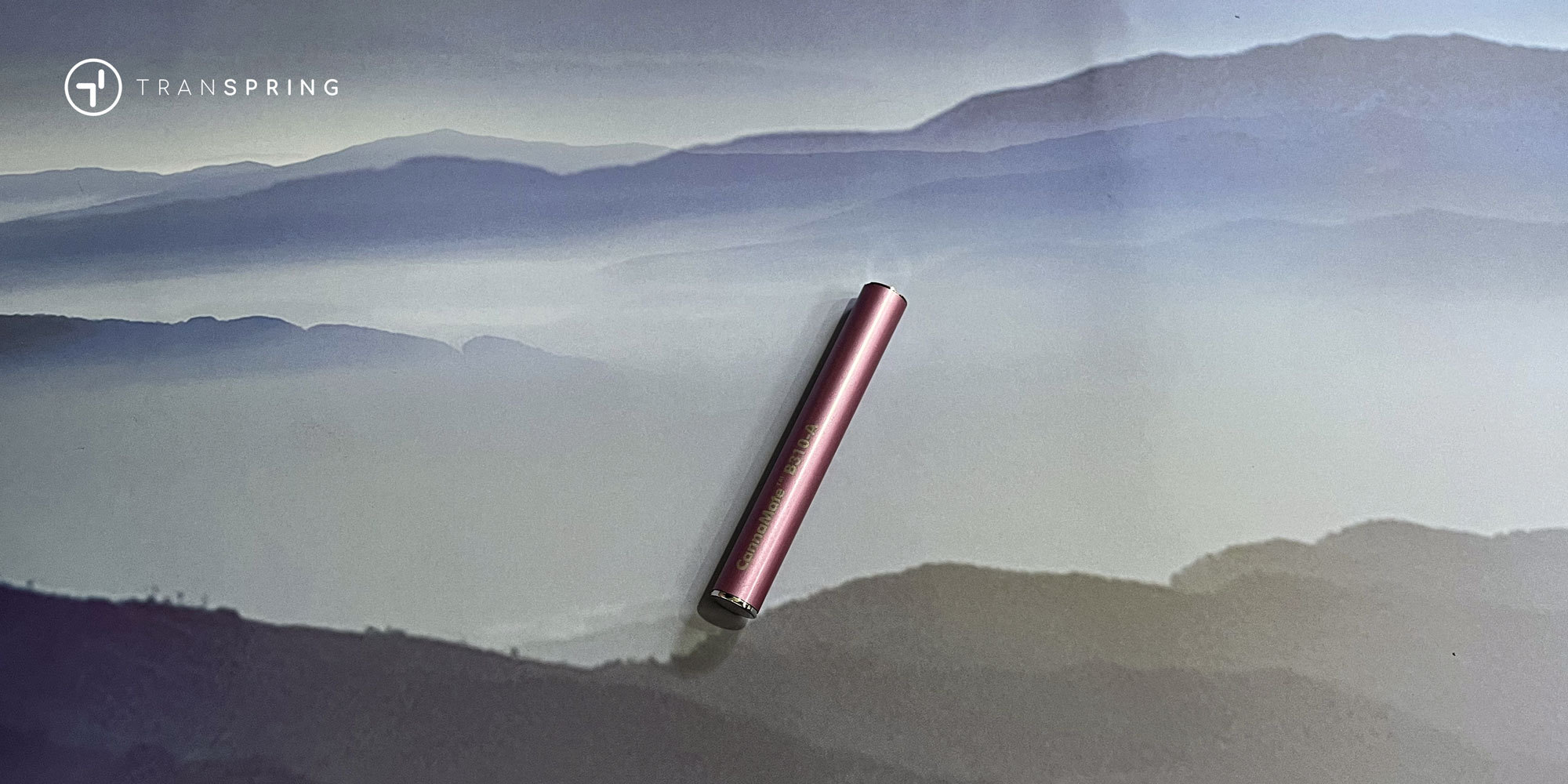 Best-cart-brands-Best-Selling-THC-Vapes-Pens-Weed-2025-Best-live-resin-disposable-vape