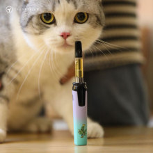 What Is the Best Vape Battery for Cannabis Oil?