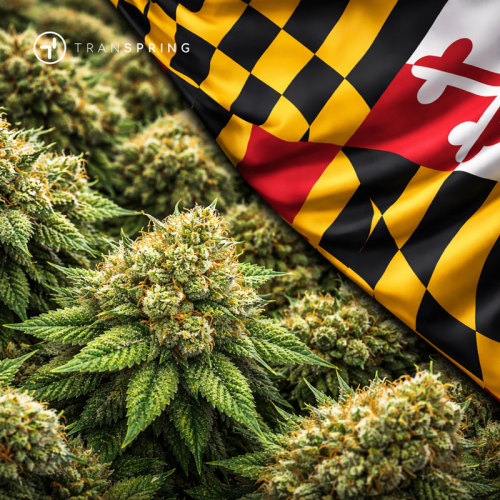 Maryland's Cannabis Market: A Comprehensive Overview of an Emerging Opportunity