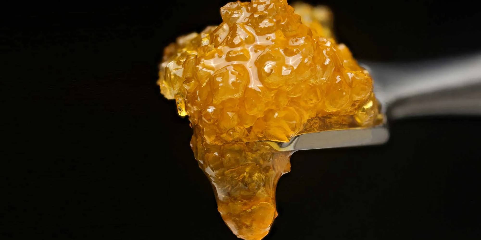 Is It Safe to Eat the 'Live Resin' in My THC Disposable-THC Disposable vape USA