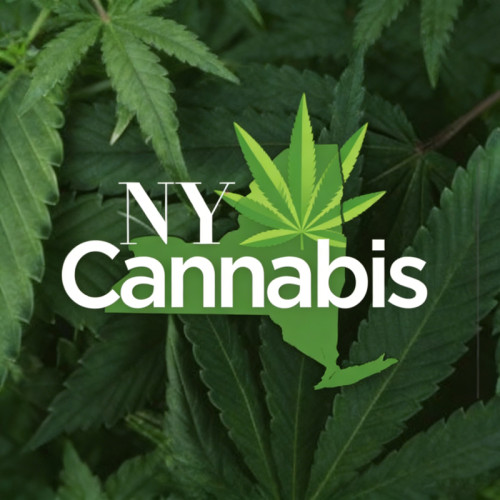 The New Yorkers' Guide to Cannabis Vapes