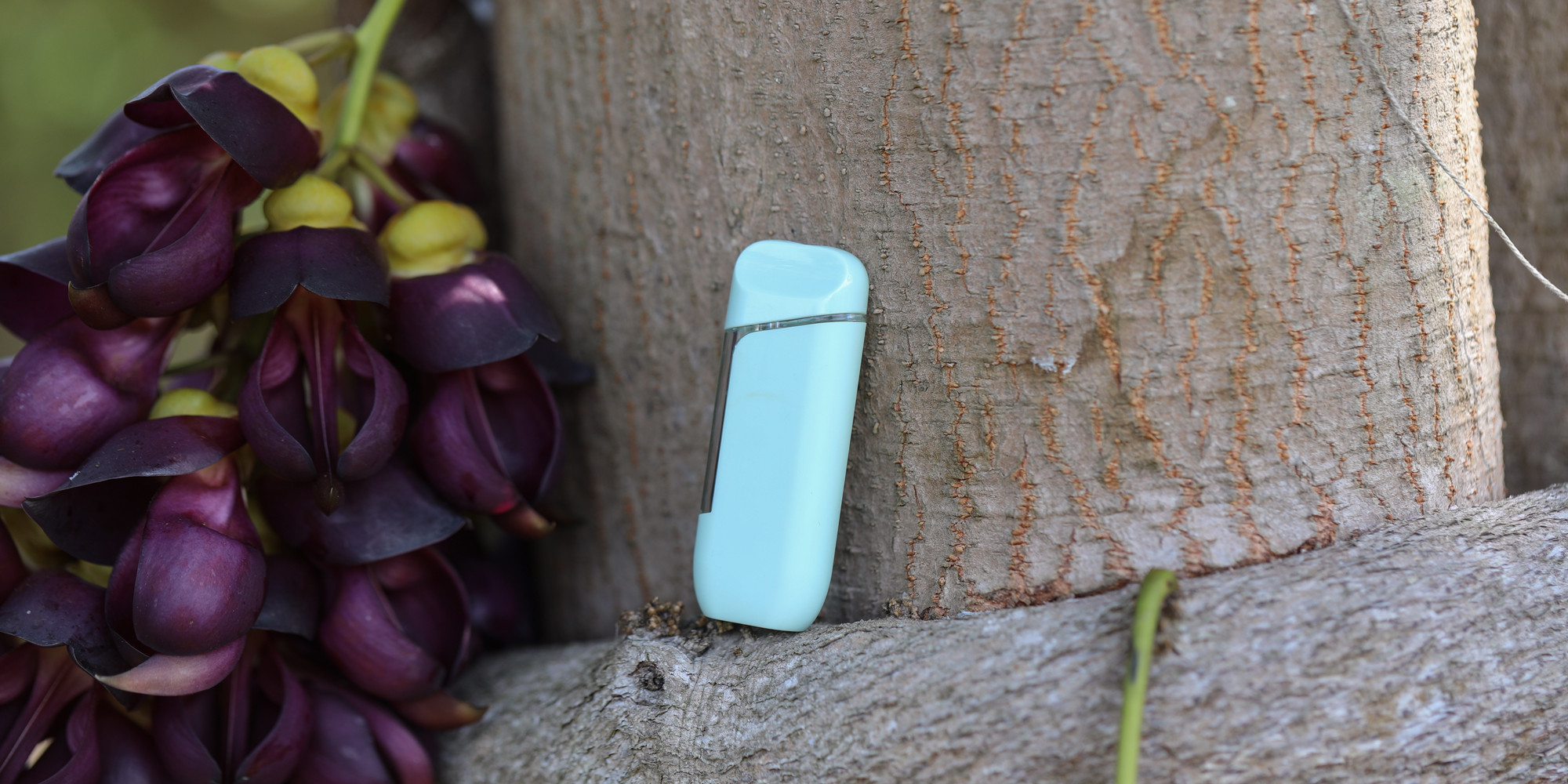 Cannabis Vapes NY- NY Cannabis Vapes Market Report-Cannabis Vapes Market Trend 2026 NY