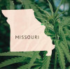 Missouri's Cannabis Vape Market: A High-Potential Frontier Worth Watching