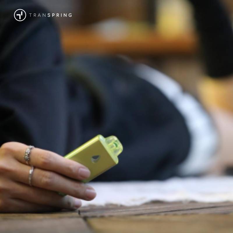 Los 5 principales fabricantes de dispositivos para vapear cannabis en 2026