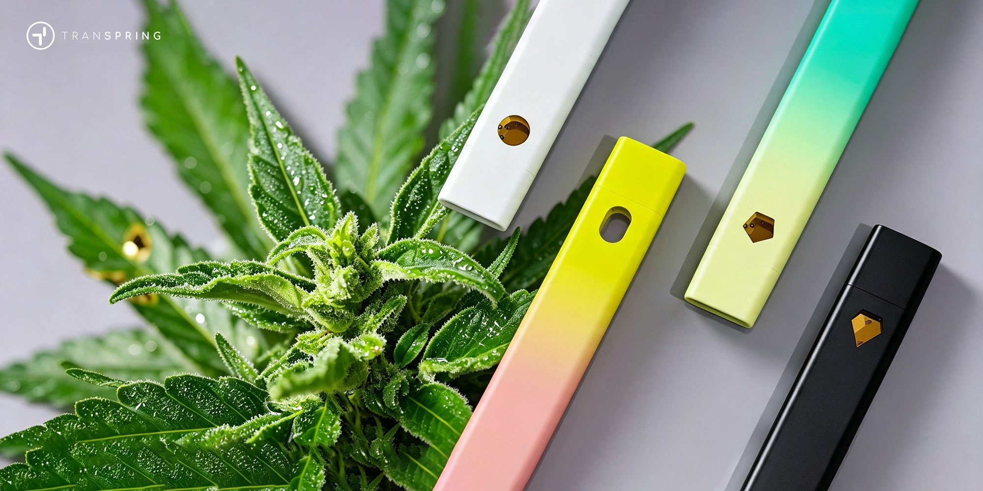 Transpring cannabis vape hardware product