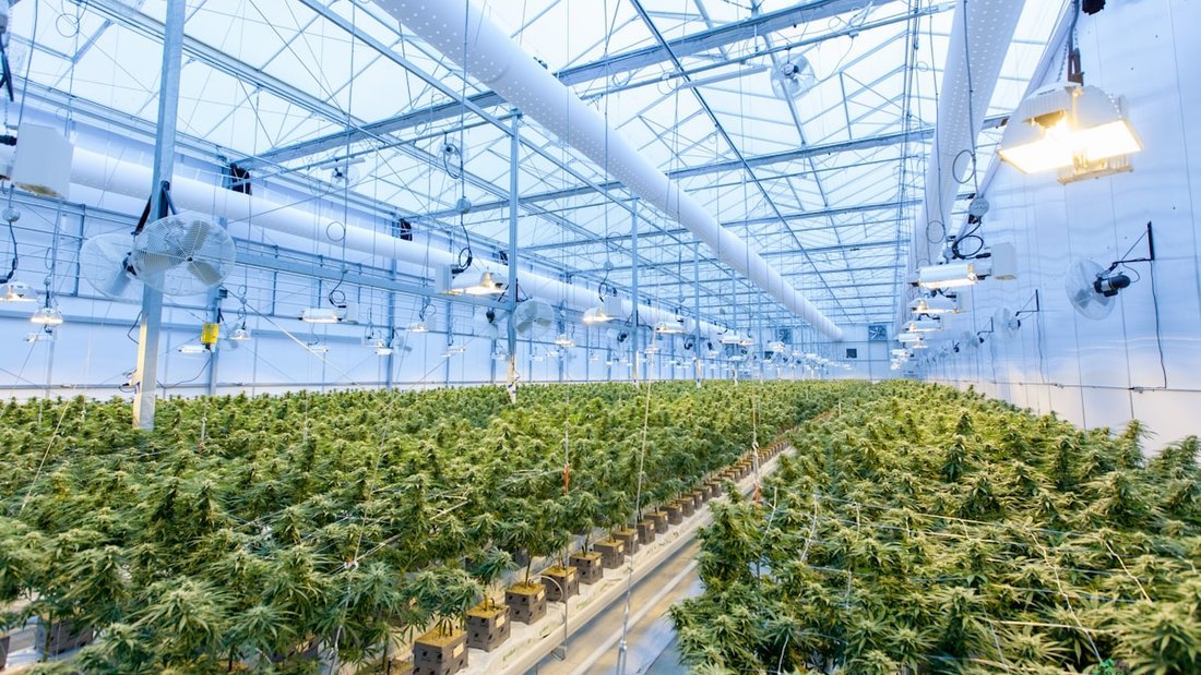 Illinois cannabis cultivation facility grow house