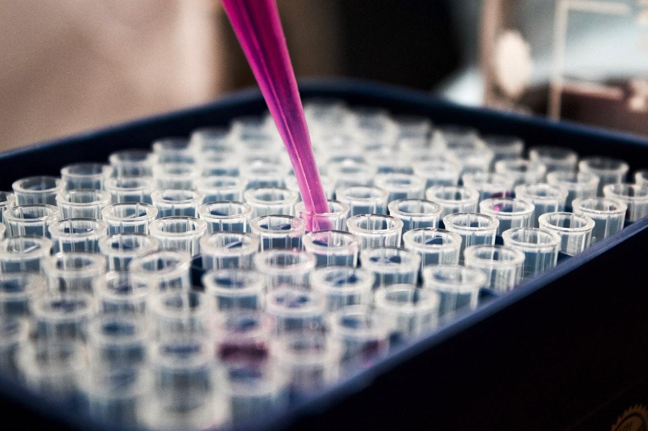 Liquid extract being handled in glass tubes during oil processing and testing
