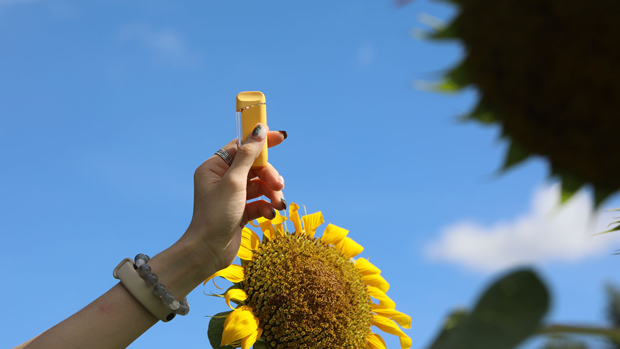 Venta al por mayor de vaporizadores desechables: los mejores vaporizadores desechables vacíos con empaque al por mayor. Cartuchos para vaporizadores de cannabis.
