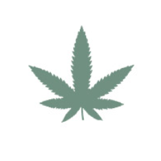 纯正而浓郁的味道,沁园春 CannaMate™ A10 电子烟 笔芯 大麻油 雾化器 | 大麻油 雾化 电子烟