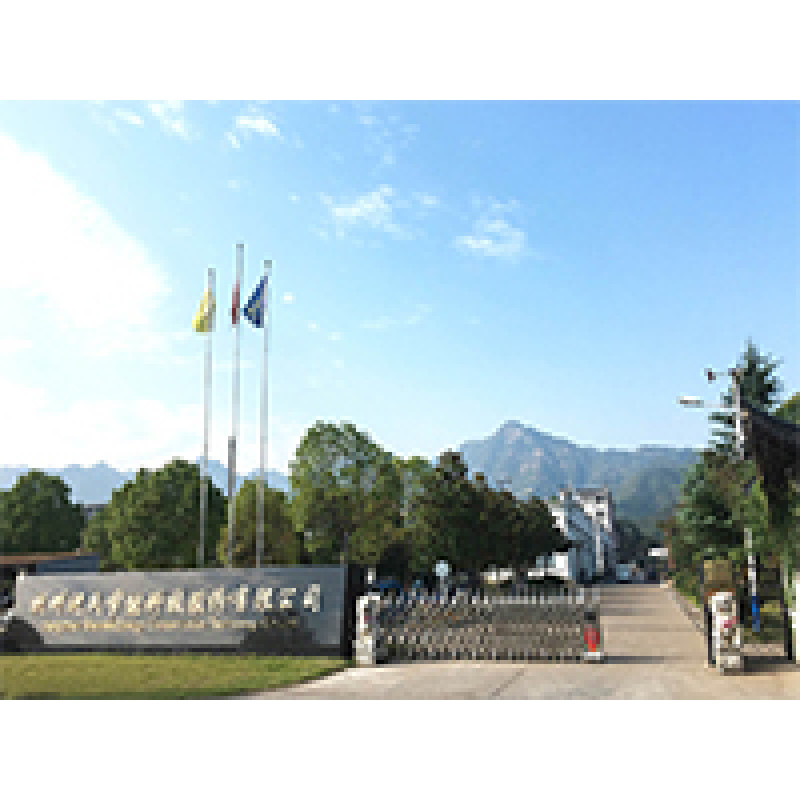 HZSS: Adhere to innovation to lead the development of high quality