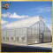 Best Safe Galvanized Box Tube Steel Frame Venlo Greenhouse for Sale