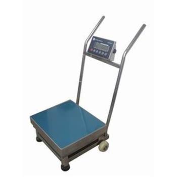 Stainless Steel Bench Scale