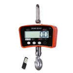Electronic Crane Scale