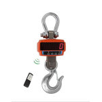 Economic Crane Scale