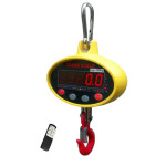 Hanging Scale