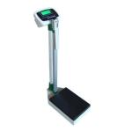 Electronic Body Scale