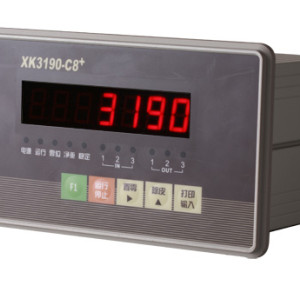 Weighing Controller System