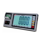 Big Display Print Weighing Indicator