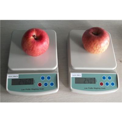 Kitchen Weighing Scale