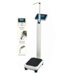 Electronic Body Scale