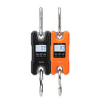 Hanging Scale