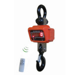 Economic Crane Scale