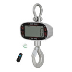 New  Crane Scale