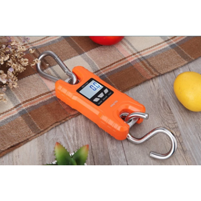 Hanging Scale