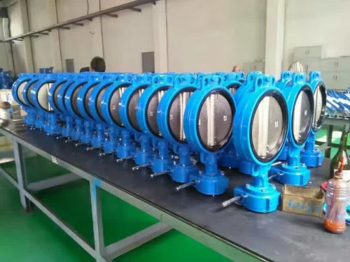 Gear operated Wafer butterfly valve