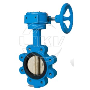 Lug type butterfly valve with gearbox