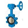 Lug type butterfly valve with gearbox