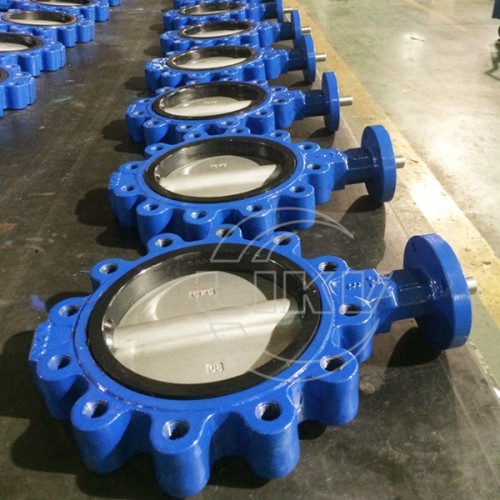 Gearbox operated Lug type butterfly valve