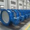 Double offset Butterfly valve