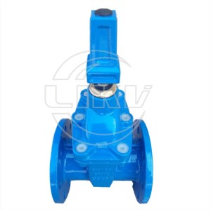 resilient gate valve with cap