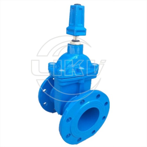 resilient gate valve with cap