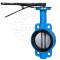 without pin nylon plate Wafer butterfly valve