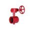 worm grooved butterfly valve