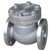 stainless steel flanged check valve