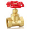 screw globe valve