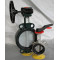 Nylon painted One Stem  Butterfly Valve